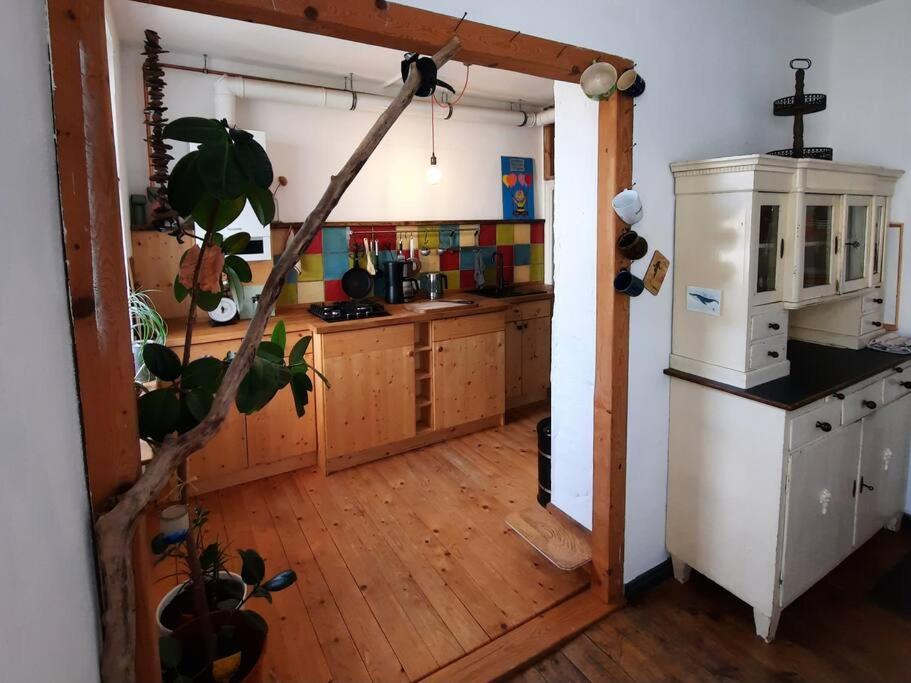 Altbau Charme & Mittendrin シュトラールズント エクステリア 写真